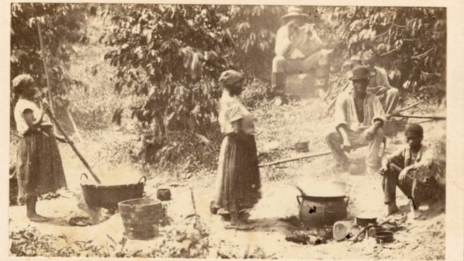 Escravos trabalham em uma plantação de café no Brasil | Imagem: THE NEW YORK PUBLIC LIBRARY