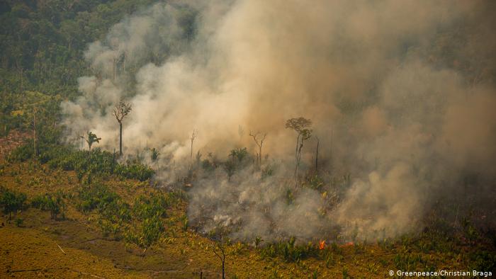 Imagem aérea da floresta amazônica em chamas