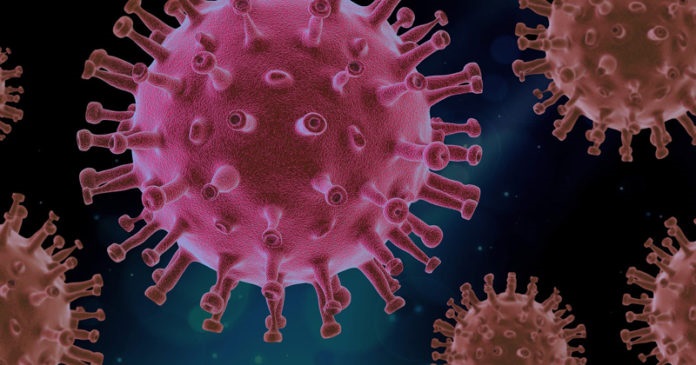 coronavirus-696x365