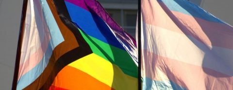 Imagem de bandeira lgbtqia+ e bandeira trans