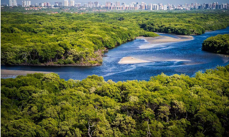 Divulgação - Secretaria do Meio Ambiente do Governo do Ceará