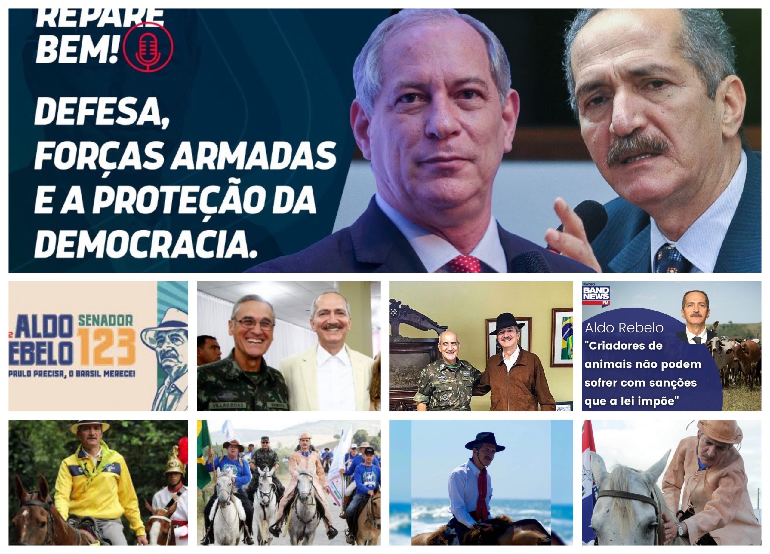 Aldo Rebelo e Ciro Gomes