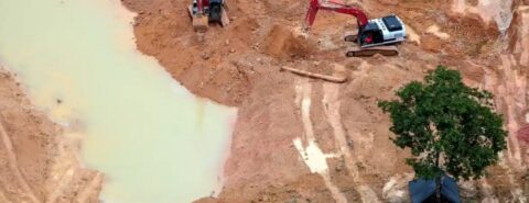 Máquinas fabricadas pela Hyundai são usadas na destruição da Amazônia. Foto: Greenpeace