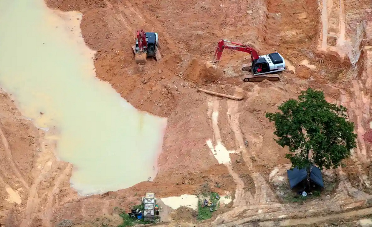 Máquinas fabricadas pela Hyundai são usadas na destruição da Amazônia. Foto: Greenpeace