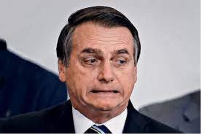 bozo-medo