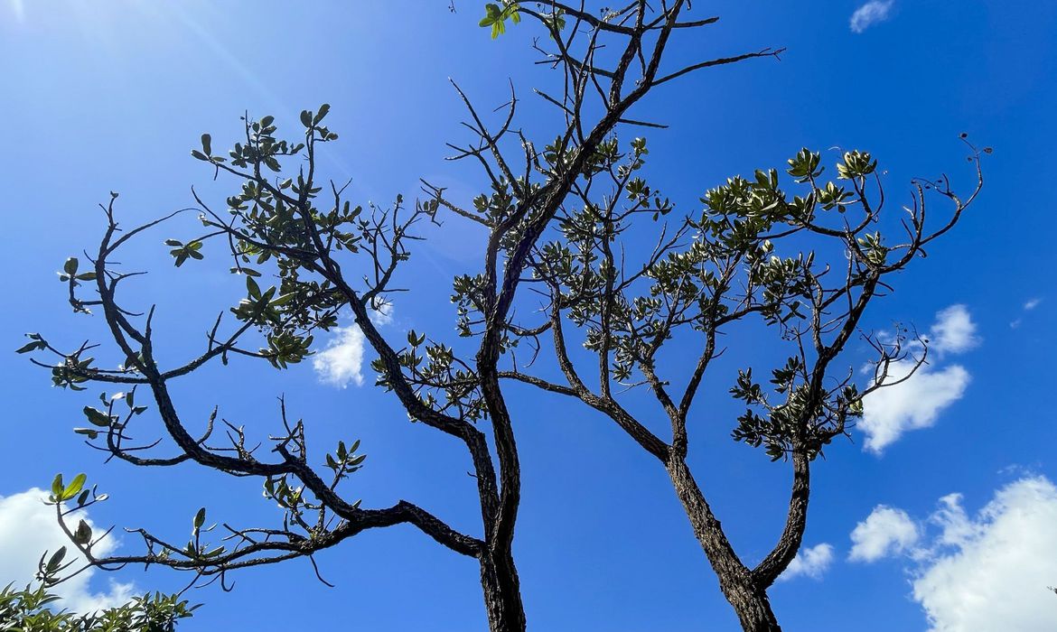 Foto: Juca Varella/Agência Brasil