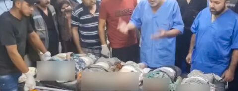 Imagens de crianças mortas e ensanguentadas alinhadas em uma maca de hospital provocaram indignação em Gaza e na Cisjordânia [Screengrab/Telegram]