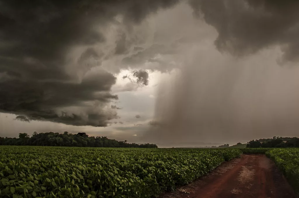 Foto: Fernando Dias/Seapi