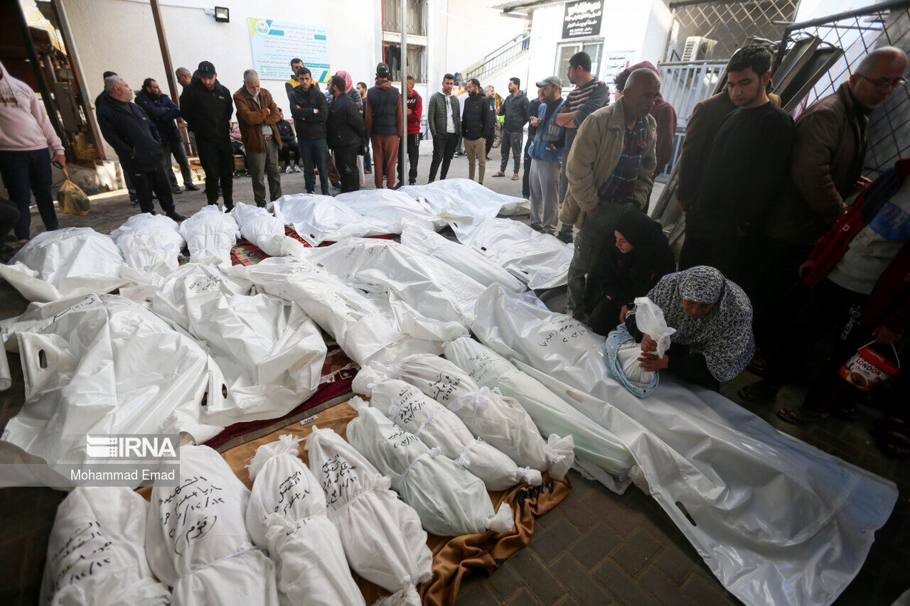 Foto: Mohammad Emad/IRNA