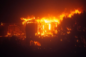 Incêndio florestal em Los Angeles, Califórnia. Foto: Reprodução X