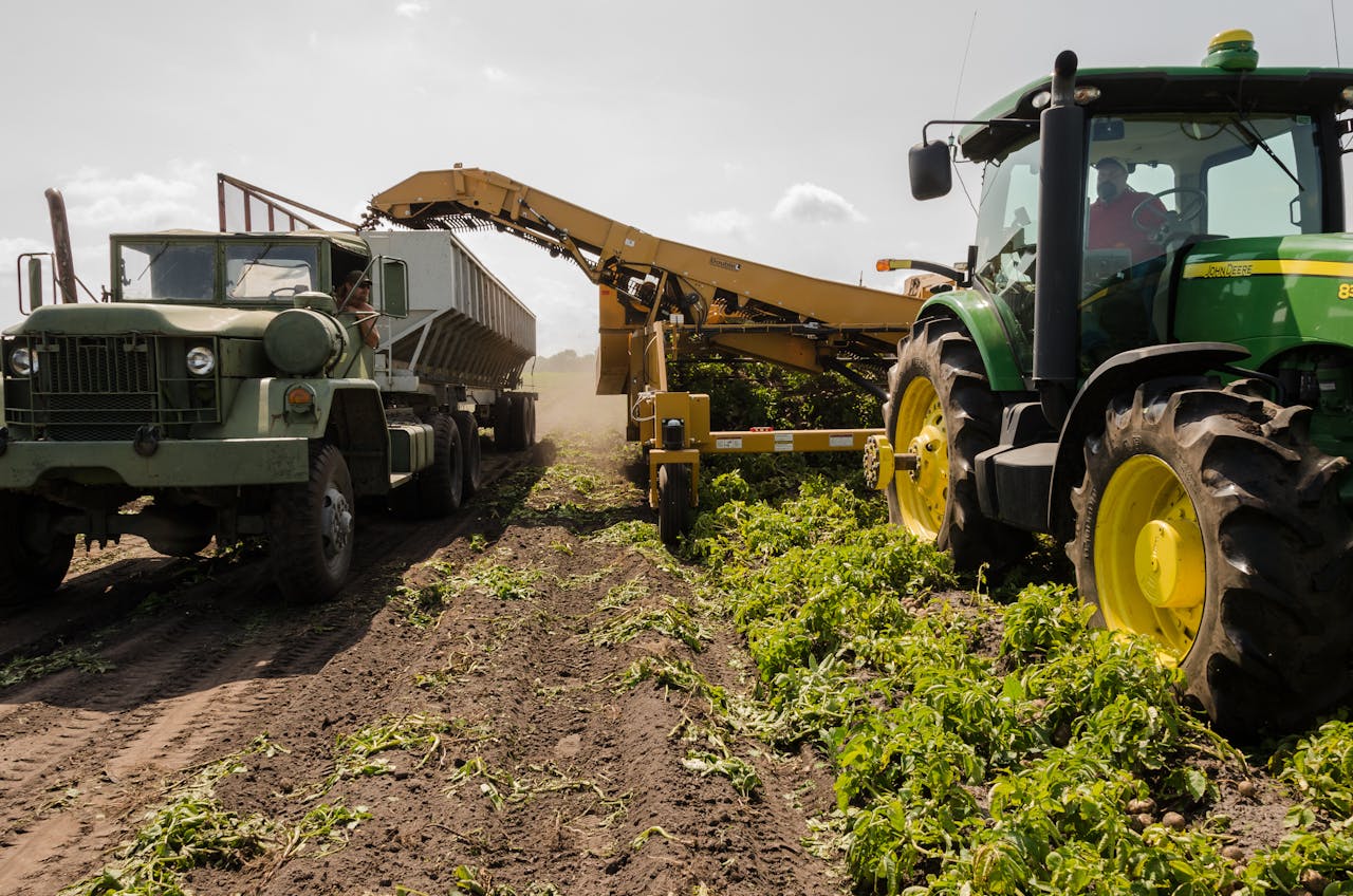 Projeção para safra agrícola chega a 322,6 milhões de toneladas