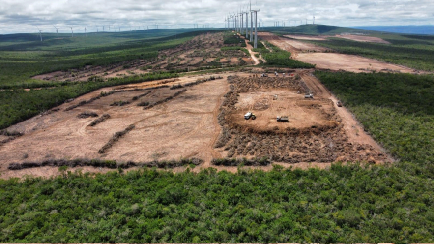 Em vez de progresso, complexo solar na Bahia aumenta o desmatamento da Caatinga