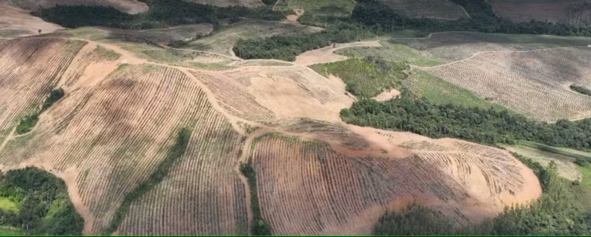 Terras raras Poços de Caldas - Divulgação Meteoric Resource