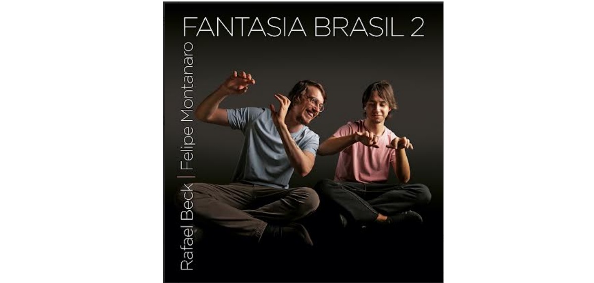 fantasia brasil