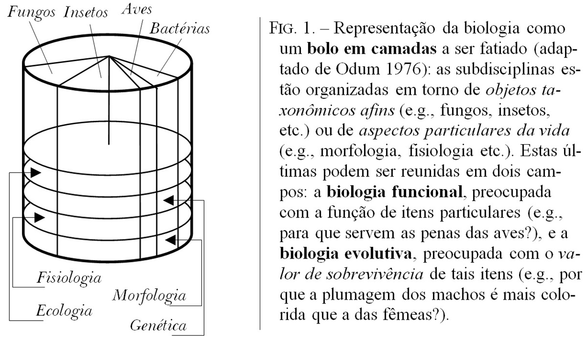 PorQue_Fig_1