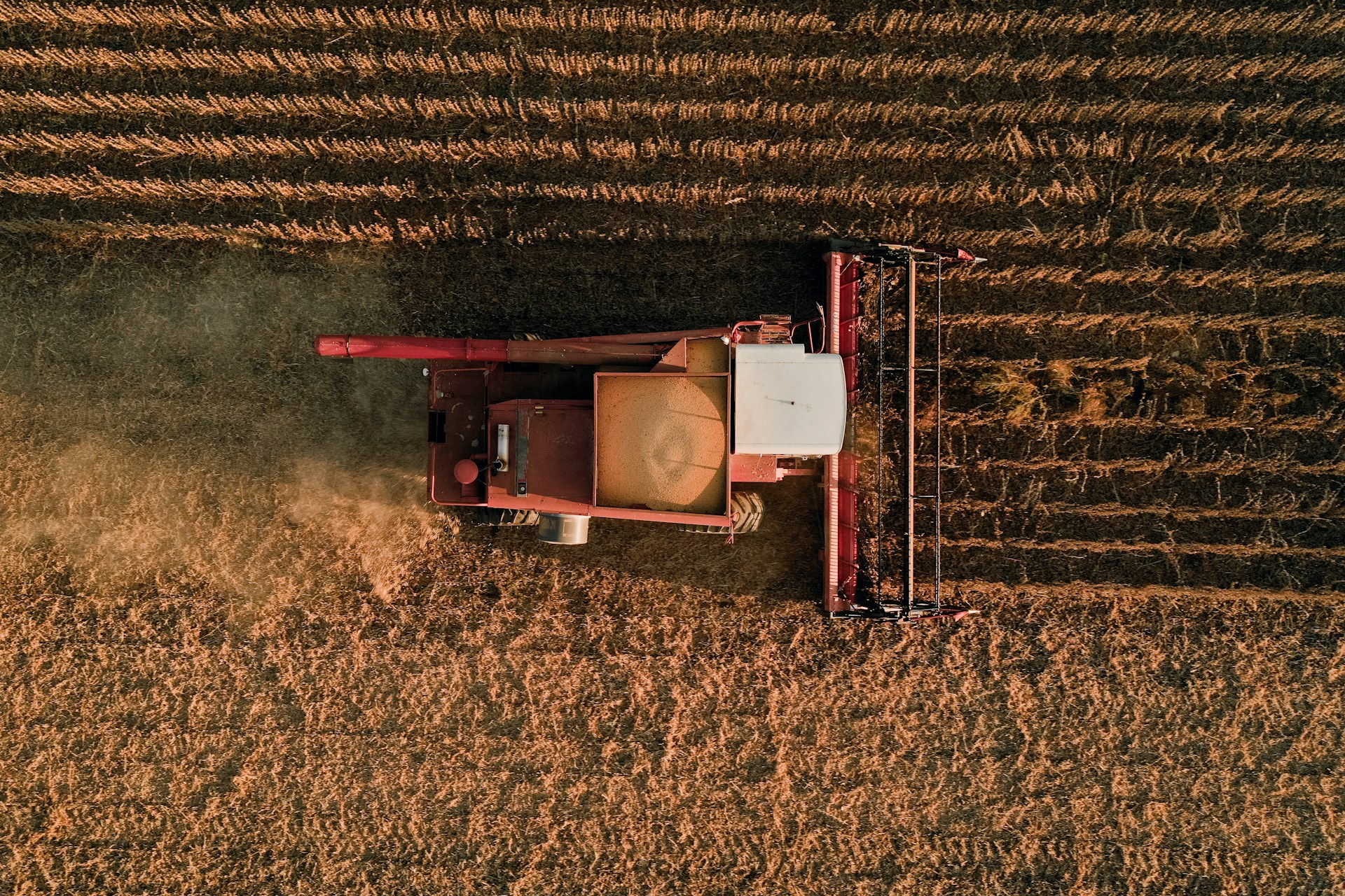 Foto de Donnie Rosie na Unsplash