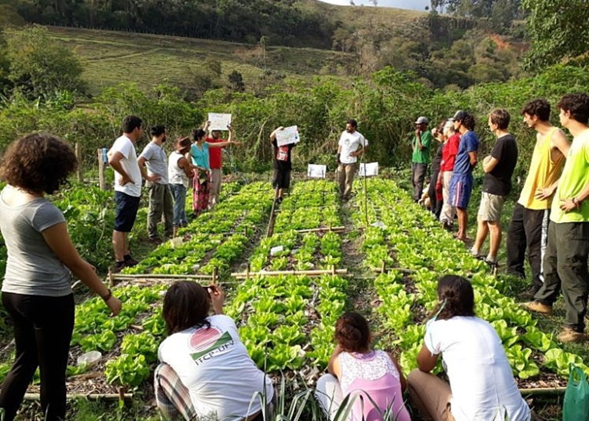 Rede Agroecológica Raízes da Mata