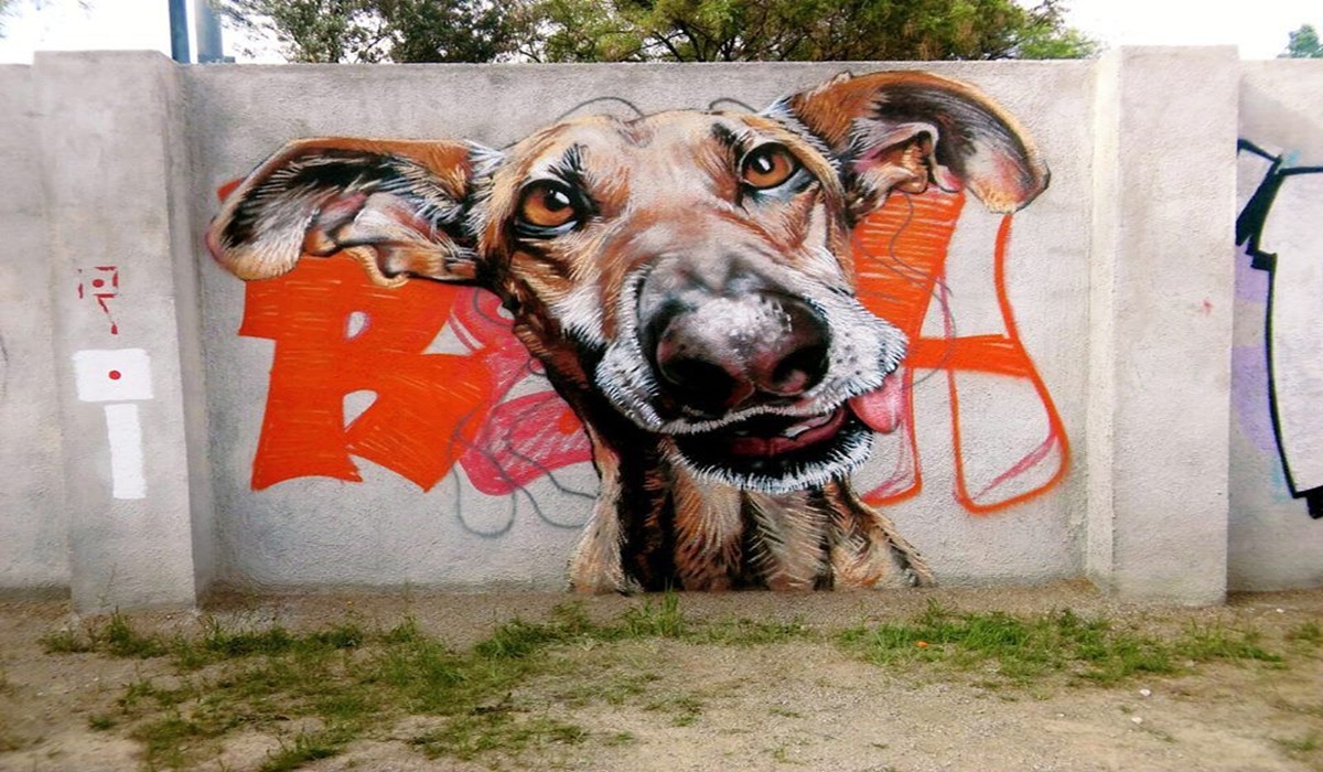 Reprodução