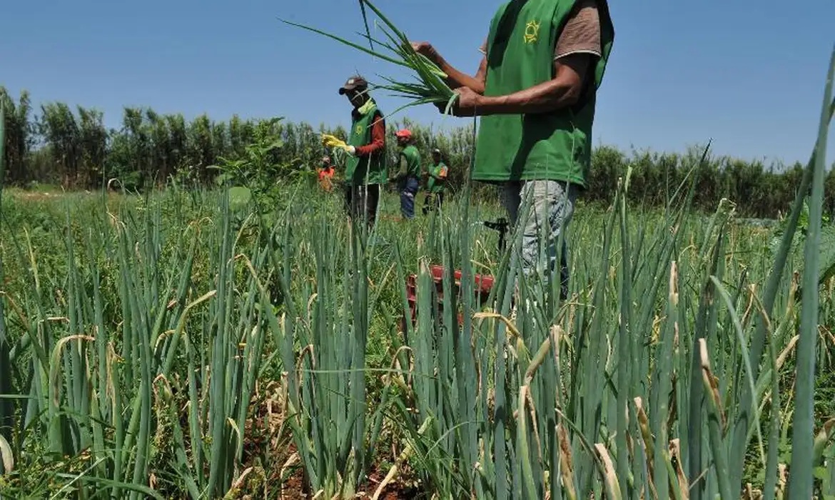 Foto de Valter Campanato - Agência Brasil