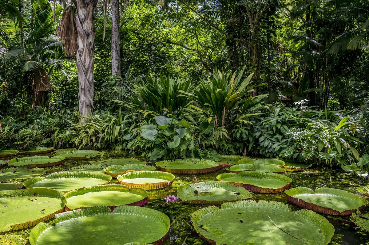 Superintendência do Desenvolvimento da Amazônia