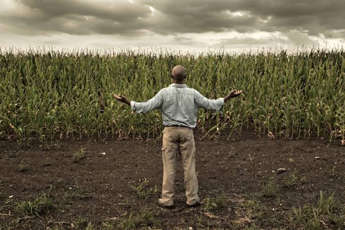 A Crise Global de Alimentos (1), por Ruben Bauer Naveira