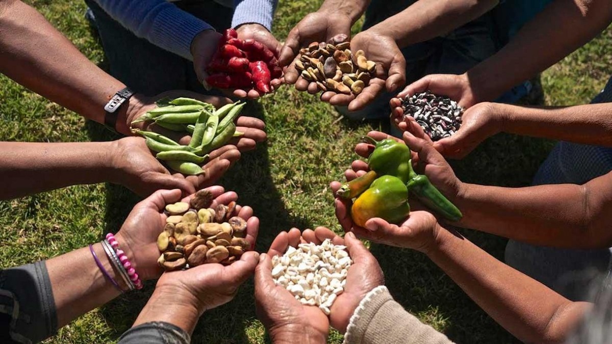 A soberania também está em nossa alimentação, por Guillermo Barreto