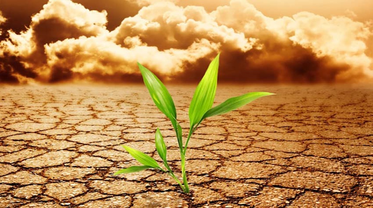 A transição climática exige Estados fortes, por Feijó & Feil