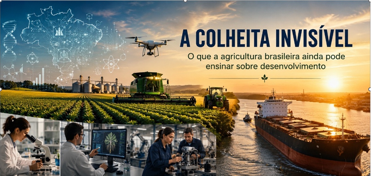 A colheita invisível, por Celso P. de Melo