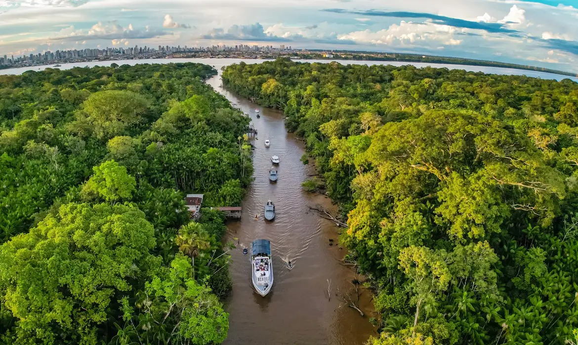 Industrialização, floresta e colonialismo: o dilema amazônico no século XXI, por Augusto Rocha