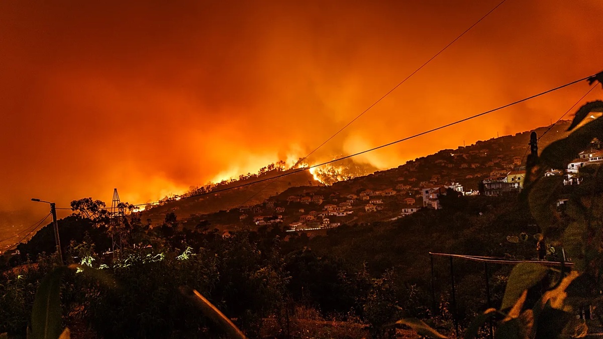 Incêndio na Sicília - foto de Michal Held - Reprodução