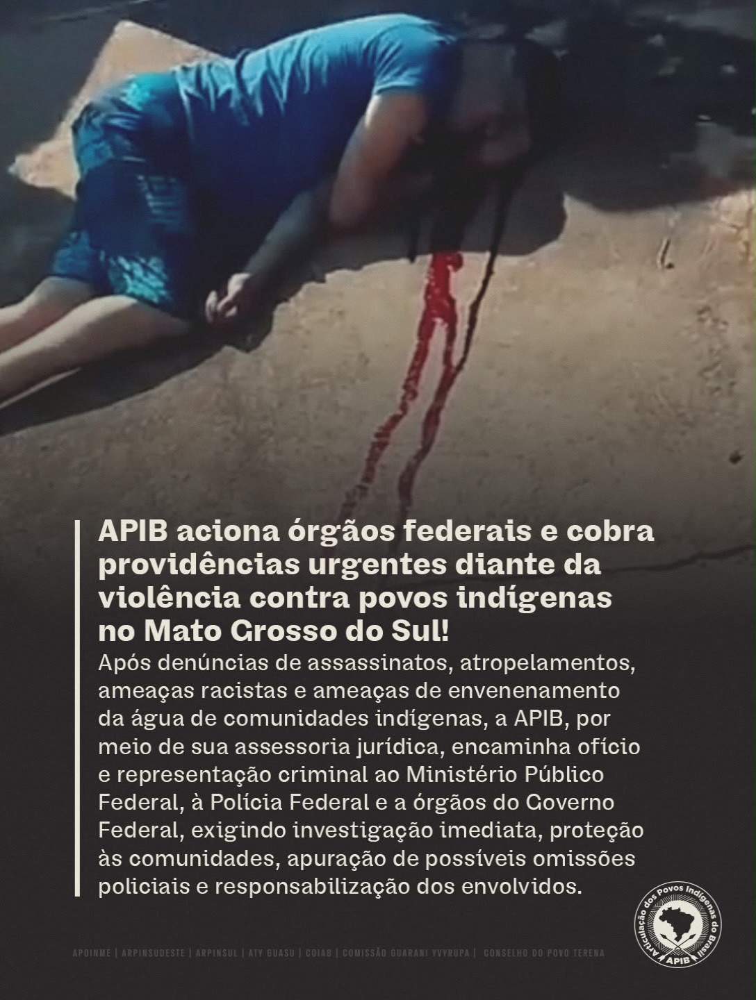 Imagem: Reprodução APIB