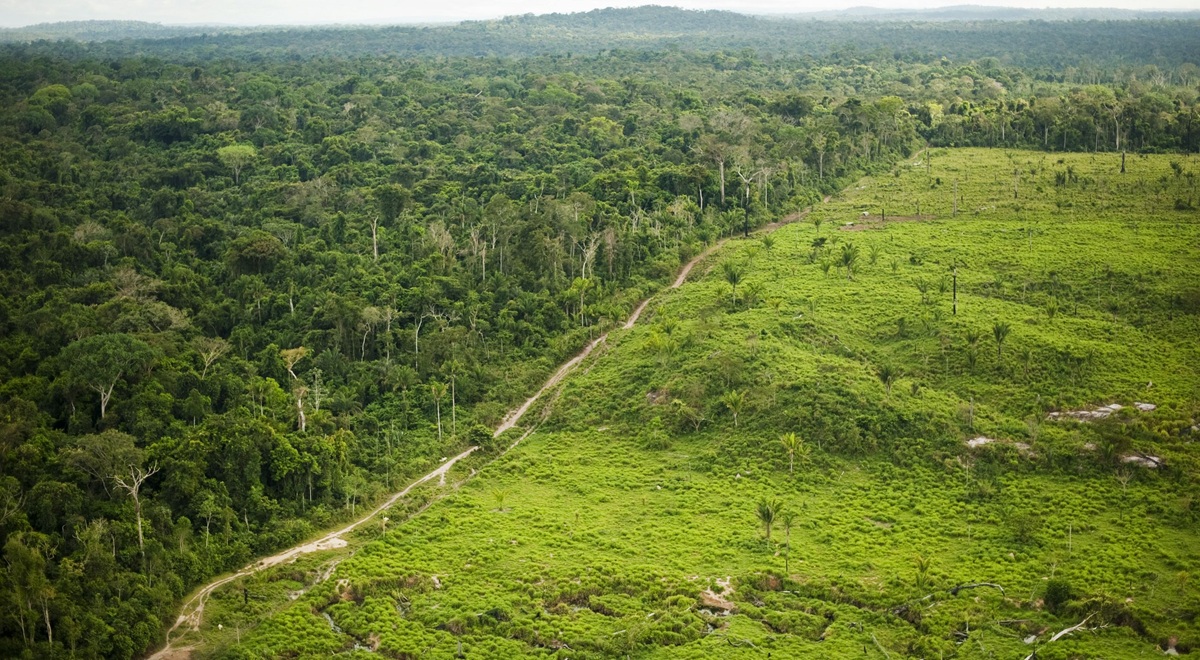Redução do desmatamento afasta Brasil do “precipício” ambiental, por Lauro Veiga Filho